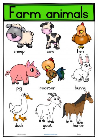 A3 Farm animals T2_1